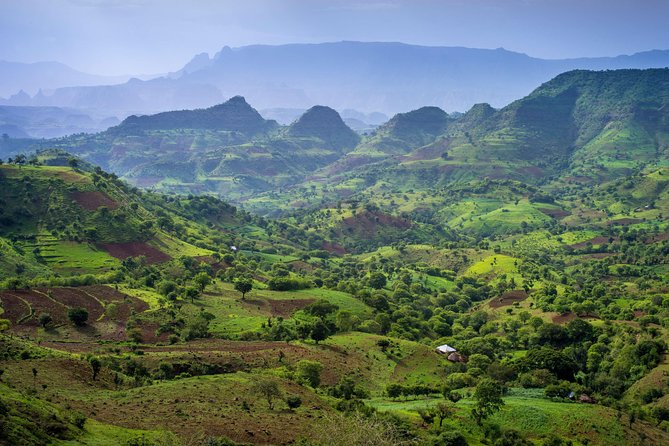 Day Trek to Simien Mountain - Tour Details