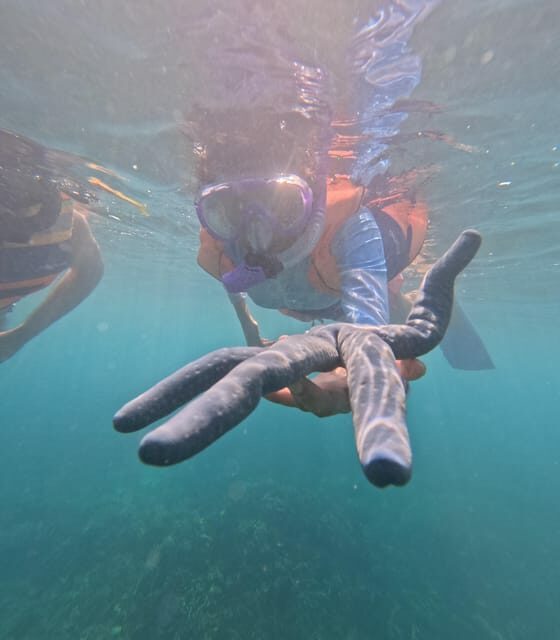 Day Trip 5 Secret Giilis in West South of Lombok - FAQ