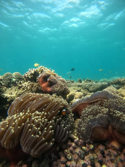 Day Trip 5 Secret Giilis in West South of Lombok - Key Points