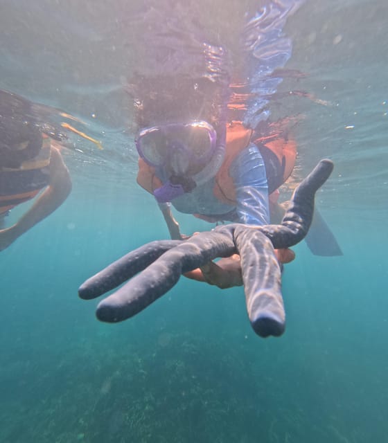 Day Trip 5 Secret Giilis in West South of Lombok - Important Information