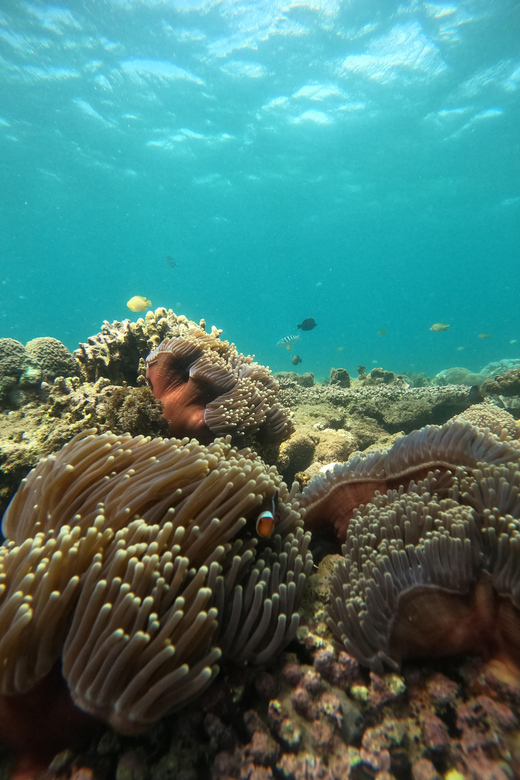 Day Trip 5 Secret Giilis in West South of Lombok - Additional Details