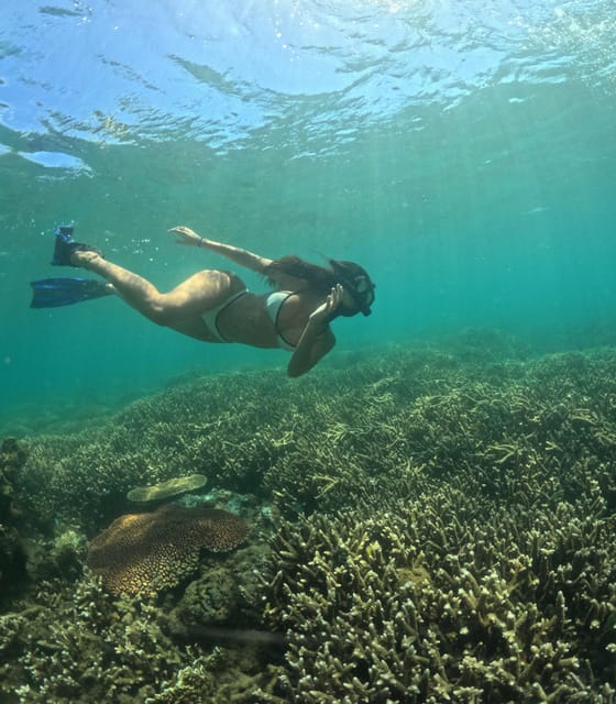 Day Trip 5 Secret Giilis in West South of Lombok - Participant Details