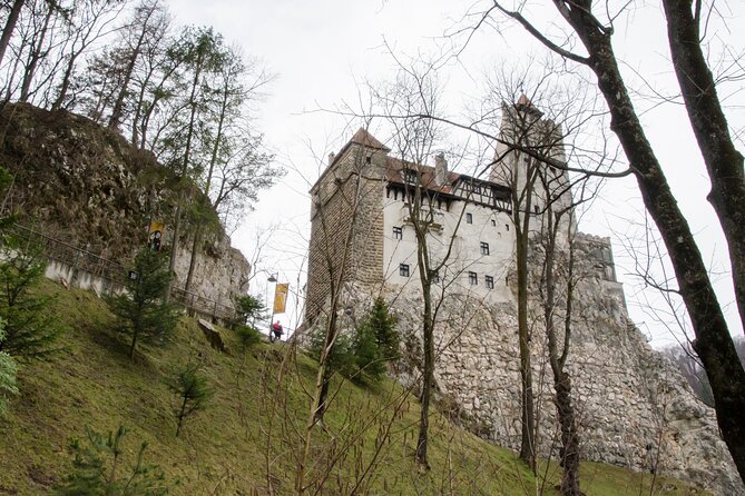 Day Trip Bear Sanctuary, Bran Castle, Rasnov Fortress From Brasov - Guided Tour Highlights
