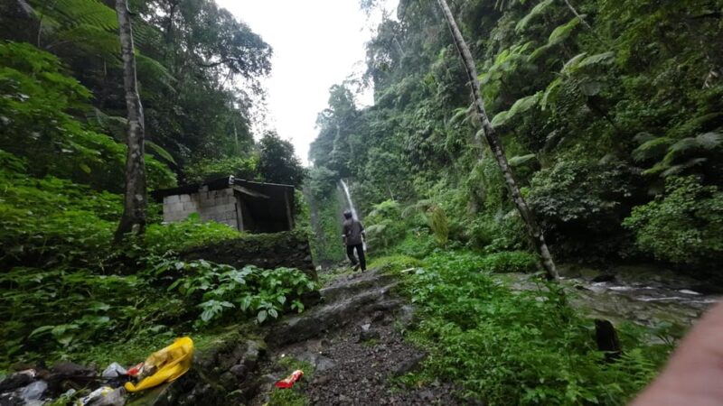 Day Trip Bogor Jakarta Waterfall All In - Tour Guide - Booking Information