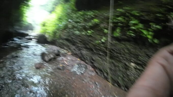 Day Trip Bogor Jakarta Waterfall All In - Tour Guide - Activities