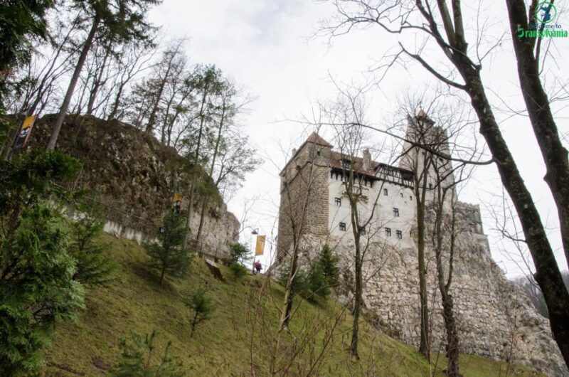 Day Trip Bran Castle, Rasnov Fortress and Bear Sanctuary - Pricing and Booking