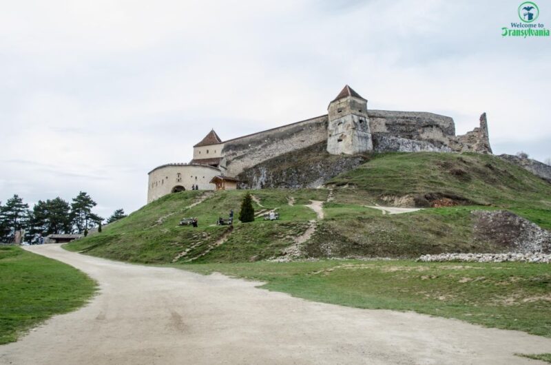 Day Trip Bran Castle, Rasnov Fortress and Bear Sanctuary - LiBEARty Sanctuary