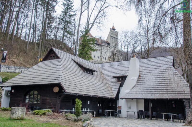 Day Trip Bran Castle, Rasnov Fortress and Bear Sanctuary - Rasnov Fortress