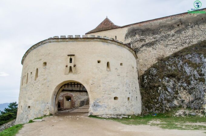 Day Trip Bran Castle, Rasnov Fortress and Bear Sanctuary - Inclusions and Exclusions