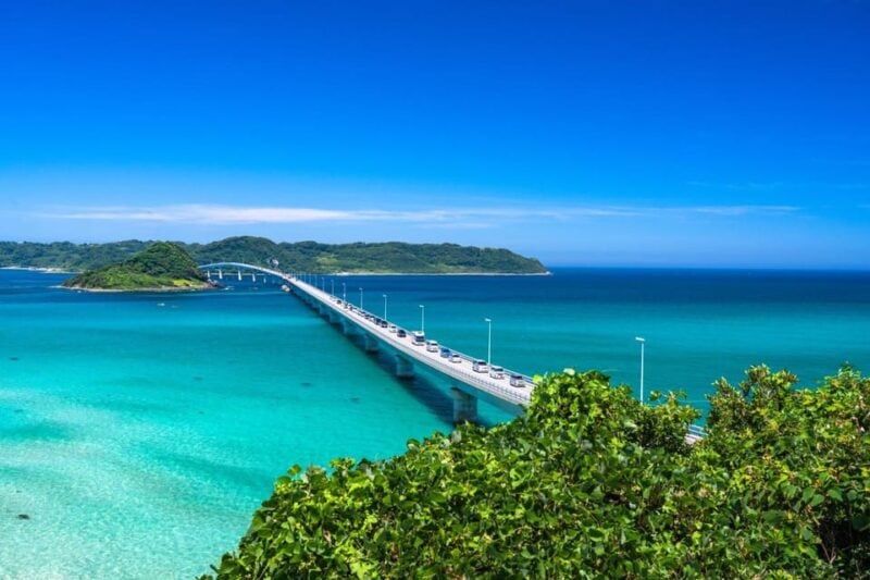 Day Trip Bus Tour From Fukuoka to Tunoshima, Yamaguchi - Booking and Reservation Process