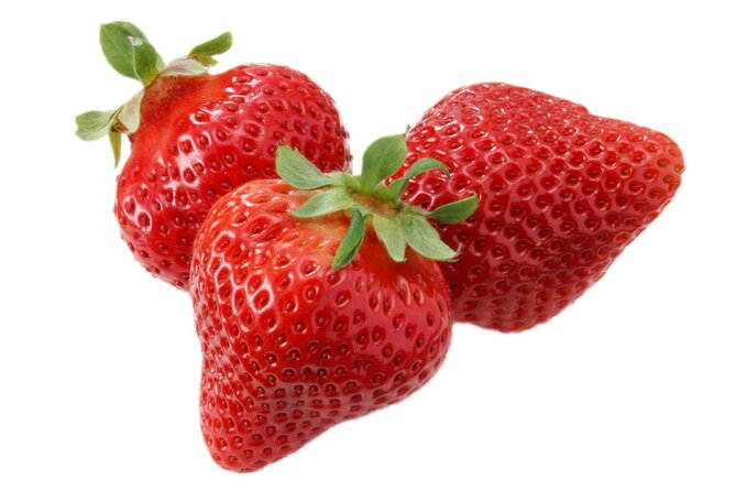 Day Trip Bus Tour to Fruits Pick & Dazaifu, Itoshima From Fukuoka - Exclusions