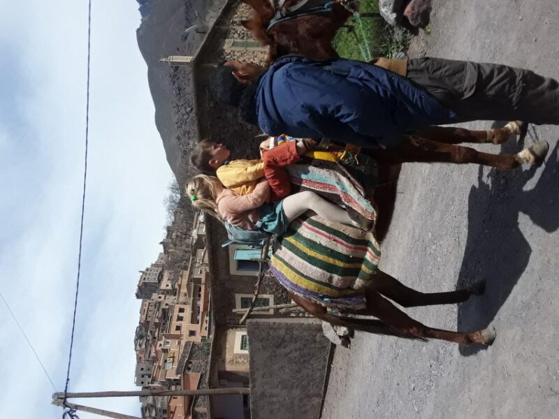 Day Trip by Mule in the Imlil Valley. - Inclusions and Exclusions