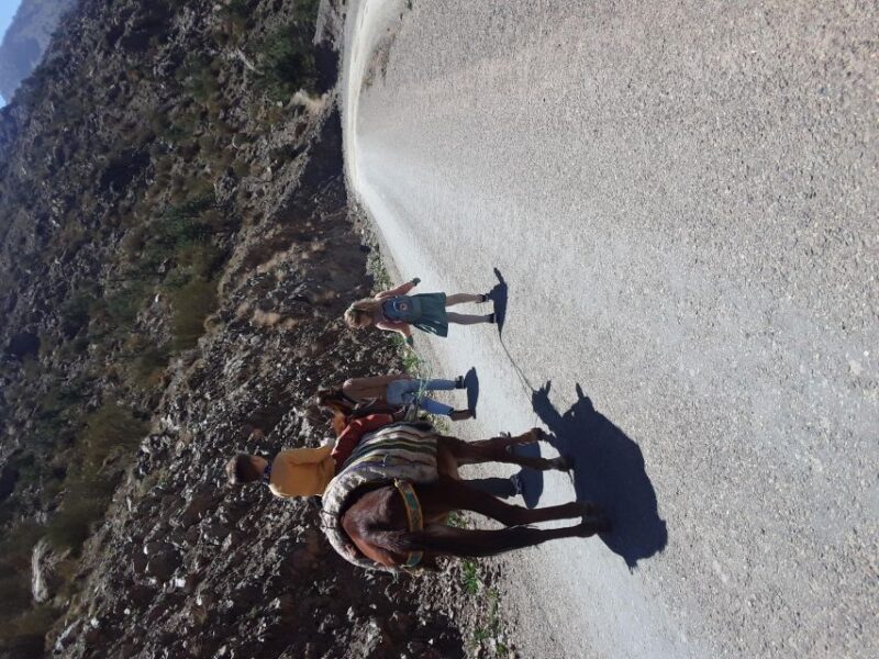Day Trip by Mule in the Imlil Valley. - Important Information and Restrictions