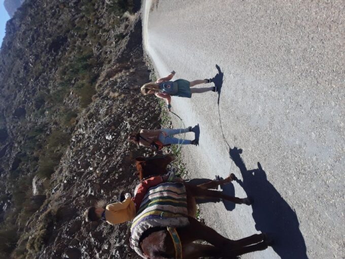 Day Trip by Mule in the Imlil Valley. - Scenic Photo Opportunities