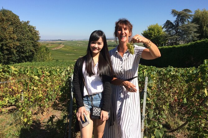 Day Trip by Van in Champagne Small Group of 8 - Positive Reviews