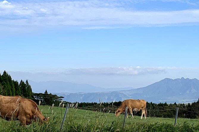 Day Trip Charter Bus Tour to Great Nature Mt.Aso From Fukuoka - Accessibility and Restrictions