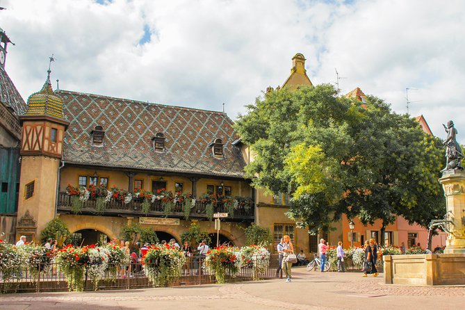 Day Trip: Colmar, Haut-Koenigsbourg, Riquewihr and Kaysersberg - Cancellation Policy