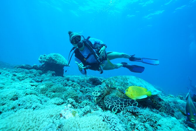 Day Trip Discover Scuba Dive in Nusa Penida 2 Dives (From Sanur - South Bali) - Good To Know