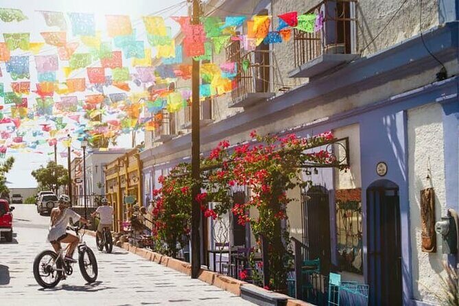 Day trip excursion to La Paz BCS & Balandra beach - Who Will Enjoy This Tour?