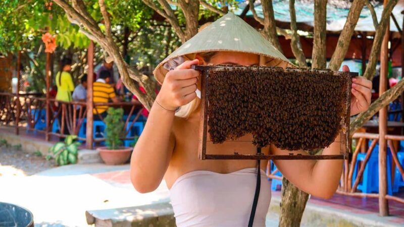 Day Trip: Explore the Beauty of the Mekong Delta - Pickup and Meeting Locations