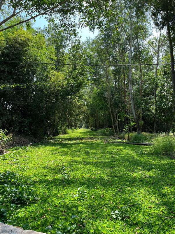 Day Trip: Floating Market & Mua Xuan Forest Half-Day Tour - Cancellation Policy and Reservations