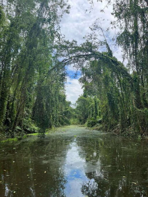 Day Trip: Floating Market & Mua Xuan Forest Half-Day Tour - Additional Information