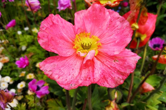 Day Trip Flower Island of Mainau Including Meersburg - Pickup Information