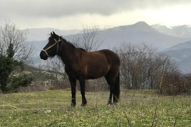 Day Trip From Berat to Sotira Waterfall - Hiking 4x4 Tour - Tour Details
