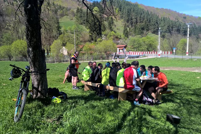 Day Trip From Brasov: Bison Reserve & Traditional Lunch - Traveler Feedback and Experiences