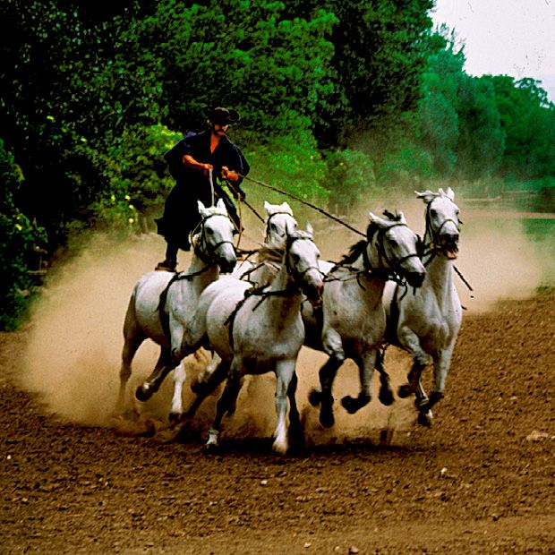 Day Trip From Budapest: Puszta Horse Show and Countryside - Frequently Asked Questions