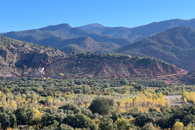 Day Trip From Casablanca to Atlas Mountain With Guide and Lunch - Health and Accessibility