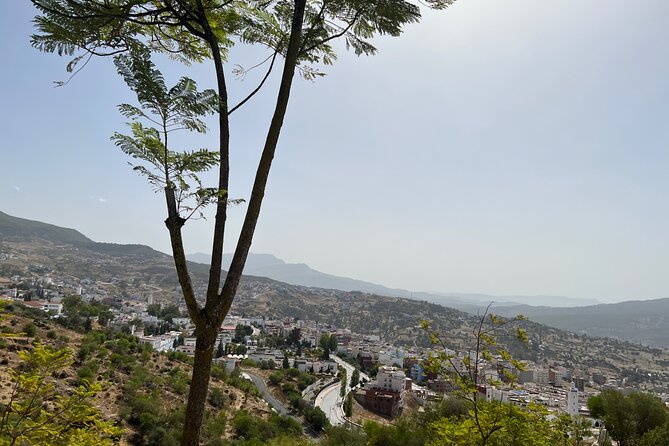 Day Trip From Casablanca to Chefchaouen With Tour Guide Included - Accessibility Options