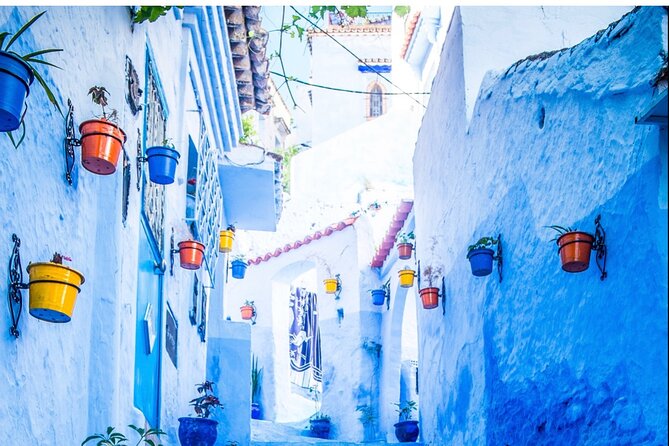Day Trip From Casablanca to Chefchaouen With Tour Guide Included - Customer Reviews and Feedback