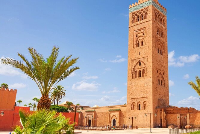 Day Trip From Casablanca to Marrakech - Traveler Reviews and Ratings