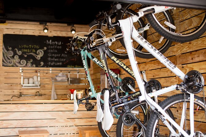 Day Trip From Central Fukuoka.Rental Cycle in Shikanoshima Island - Visitor Highlights