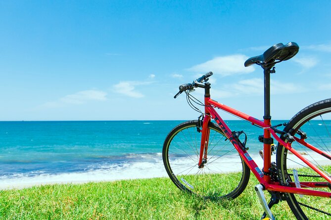 Day Trip From Central Fukuoka.Rental Cycle in Shikanoshima Island - Booking and Pricing Details