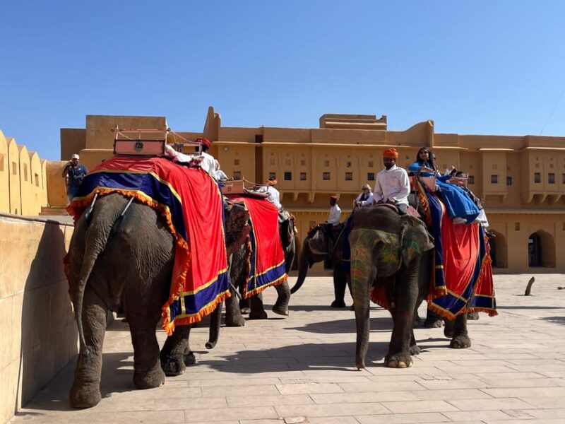 Day Trip From Delhi to Jaipur by Car With a Language Guide - Itinerary Highlights