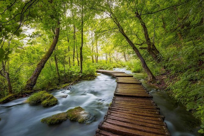Day Trip From Dubrovnik to Plitvice Lakes - Hiking Experience