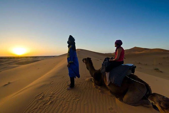 Day Trip From Errachidia to Merzouga Desert - Inclusions and Highlights