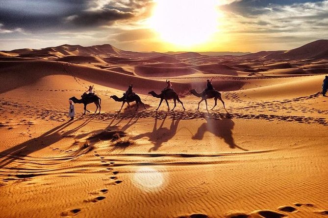 Day Trip From Errachidia to Merzouga Desert - Pricing and Cancellation Policy