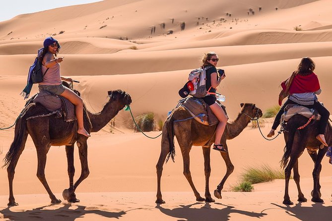 Day Trip From Errachidia to Merzouga Desert - Camel Trekking Experience