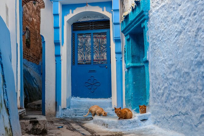 Day Trip From Fes to Chefchaouen - Group Size and Pricing