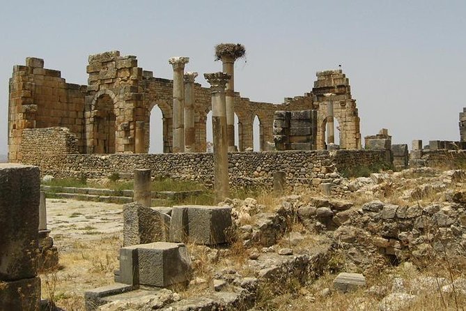Day Trip From Fes to Volubilis Moulay Idriss & Meknes - Confirmation and Accessibility