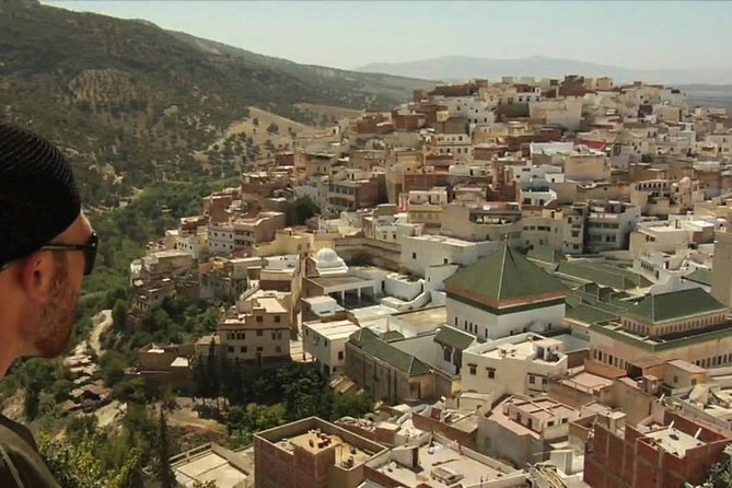 Day Trip From Fes to Volubilis Moulay Idriss & Meknes - Transportation and Driver
