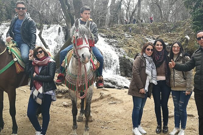 Day Trip From Fez to Middle Atlas Mountain - Private Transportation