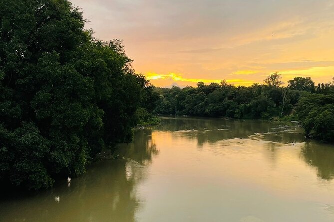 Day Trip From Goa to Anshi National Park (Kali Tiger Reserve) - Inclusions and Exclusions