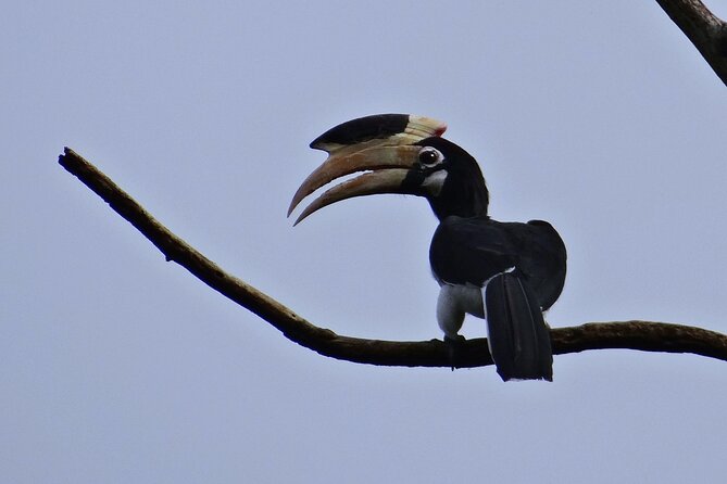 Day Trip From Goa to Anshi National Park (Kali Tiger Reserve) - Travel Duration