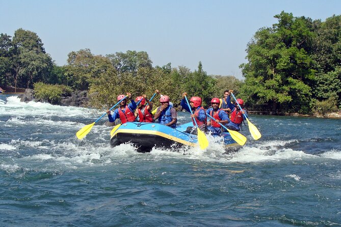Day Trip From Goa to Anshi National Park (Kali Tiger Reserve) - Exploring the National Park