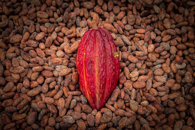 Day Trip From Guayaquil to Howler Monkey Trail and Cacao Farm - Day Trip Overview