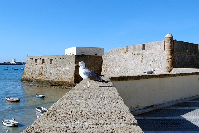 Day Trip From Jerez to Cadiz - Preparing for the Day Trip
